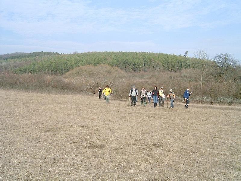 2010.03.20 078.jpg